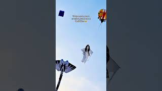 The creativity of Vietnamese kite-making is truly unique, isn't it? 😆