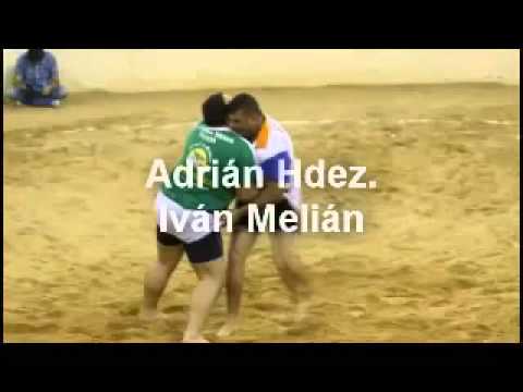 CL PUNTA BRAVA 12 CL BRISAS DEL TEIDE 11