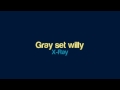 X-Ray - Gray set willy