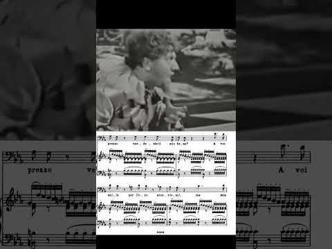 Aldo protti “Povero Rigoletto… Cortigiani…”