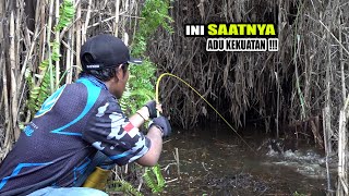 Download lagu Ekstrem!!! Untung kail pemancing ini kuatnya bukan main #SG-294 mp3