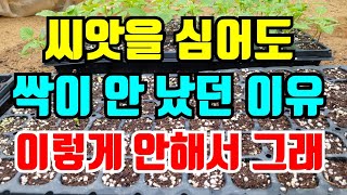 씨앗을 심어도 싹이 안 났다면 이렇게하면 금방 싹이 납니다