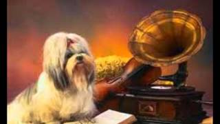 Liebeskummer -Die Flippers