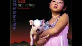 Spacehog - Goodbye Violet Race