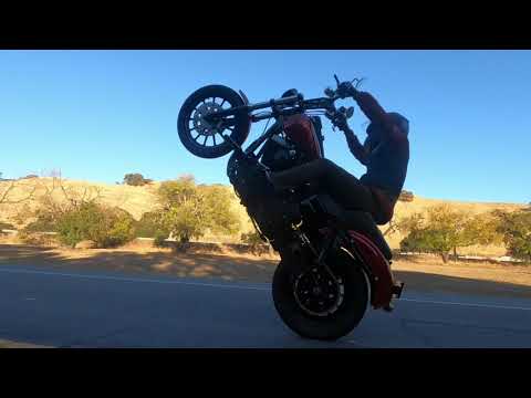 Yank Crew Dyna Harley Wheelies 11/15/20