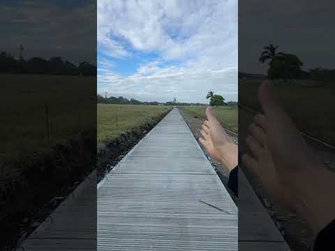 Se vende Lote en Ginebra Valle