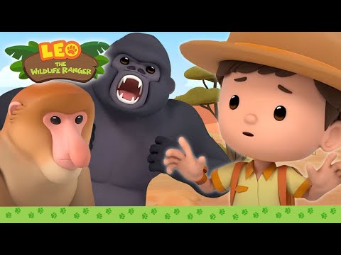 BEST OF LEO THE WILDLIFE RANGER 🦍 1 HOUR EPISODE | Leo the Wildlife Ranger | Kids Cartoons
