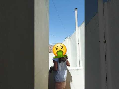 31 de diciembre de 2022