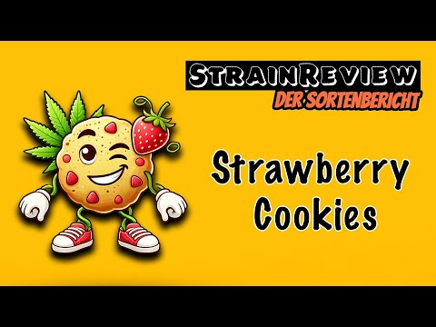 Der medizinische Sortenbericht - Strawberry Cookies (Remexian 30/1 PRT SCK)