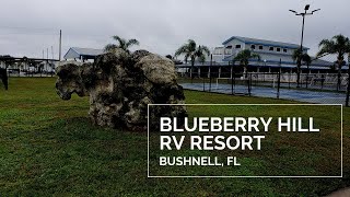 Blueberry Hill RV Resort Review