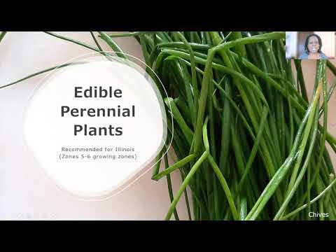 Perennial Foods - Edible Perennials in Illinois (Zones 5 & 6)