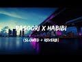 Pasoori X Habibi Slowed Reverb Asthetic With Roni