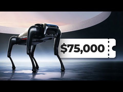 The $75,000 Cyber Dog