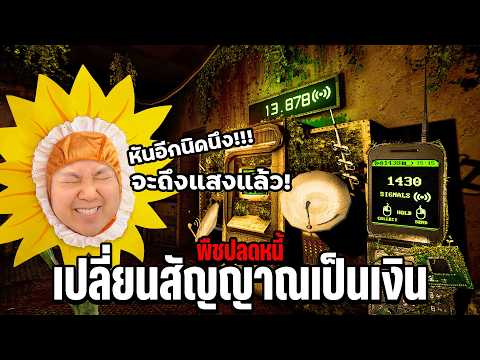 ต้นทานตะวันน่ารัก ถ้าปลูกน้องด้วยความรัก น้องจะช่วยล้างหนี้ | Signal Garden