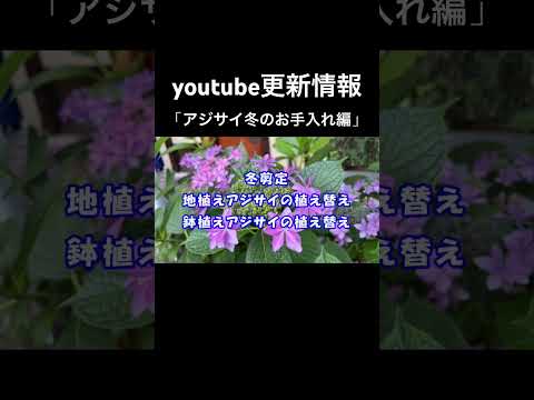 巨大な泡を吹く ガーデニング活動 子供たち