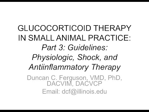 Glucocorticoids in Small Animal Practice: Physiologic, Shock and Antiinflammatory Therapy