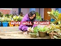 Wife Will Be Wife