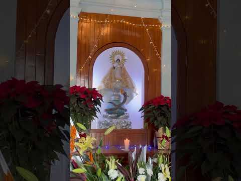 Visita a la iglesia de la virgen de los Remedios  - #fyp #viral #shorts