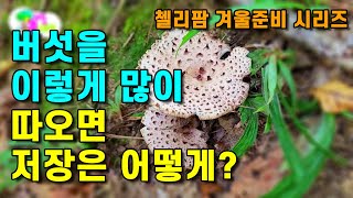 내년까지 맛있게 먹을수 있는 버섯 보관법 !