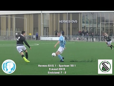 Samenvatting Hermes-D.V.S.1 - Spartaan'20 1