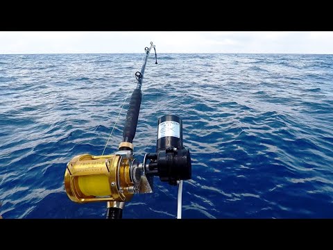 FISH WINCH® 2.0 - Electric Fishing Reel Drive (fits 220+ Penn, Shimano, Daiwa, Avet & other reels)