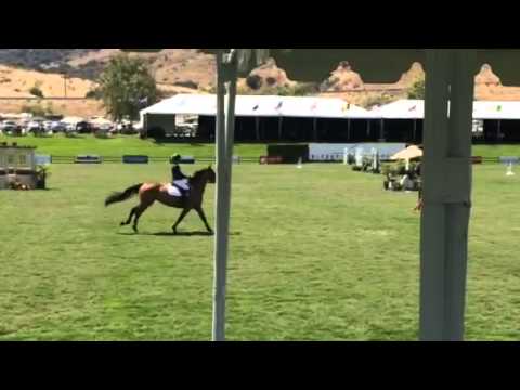 KMZ 1.40m Cash Call Futurity June 6, 2015