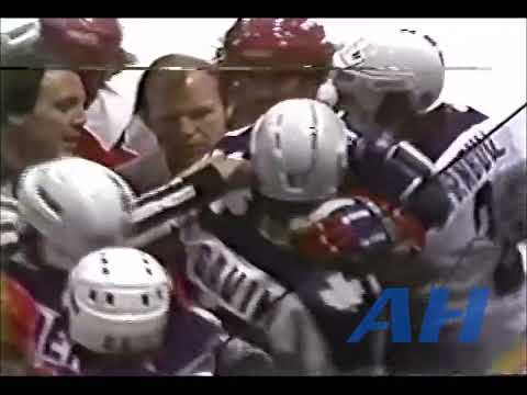 NHL Nov. 29, 1980 Toronto Maple Leafs v Washington Capitals (R) Stewart Gavin v Bob Kelly (R)