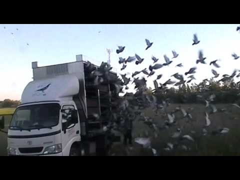 2015.06.06. Humpolec