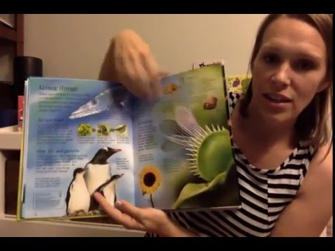 Educational books for summer