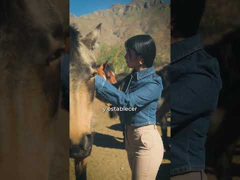 Amansa racional corral Cuna del Sol - Chañaral de Carén (Monte Patria)