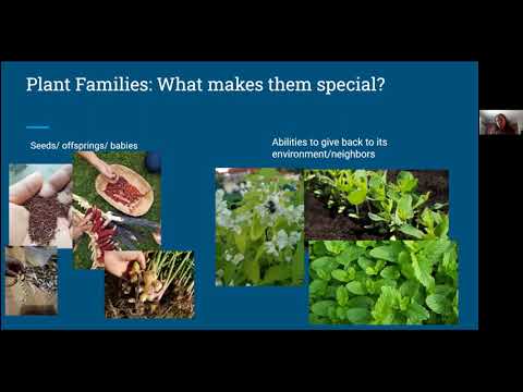 Crop Profiles, Production, & Planning Basics