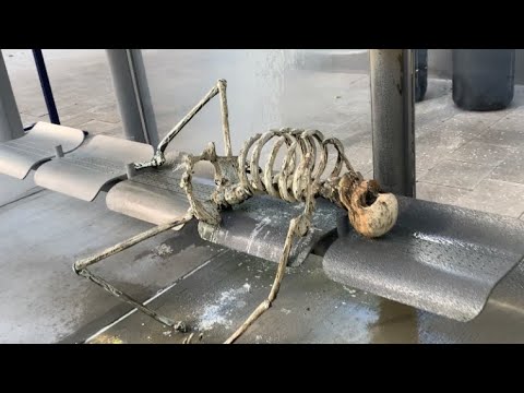 We found a skeleton while shopping | Vlogmas 14