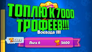 RUSH ROYALE ТОПЛЮ К 7000 ТРОФЕЕВ! / RUSH ROYALE КРУТАЯ КОЛОДА / RUSH ROYALE ИМБА ДЕКА