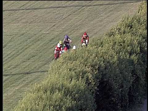 Galoppo 25/06/2019 - 4ª corsa