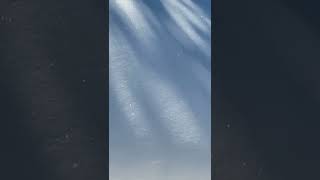 Étoiles des neiges ✨ Beautiful Snow