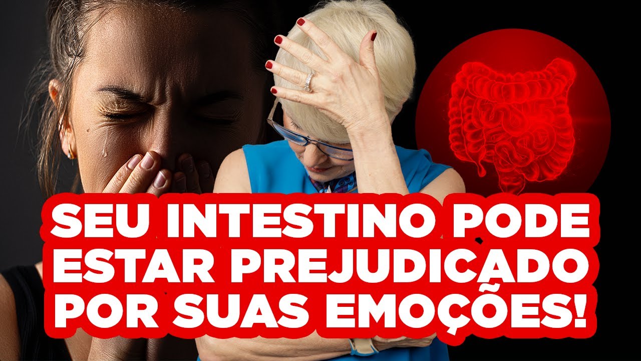 Como o intestino está ligado às suas emoções?