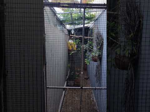 6 de fevereiro de 2026