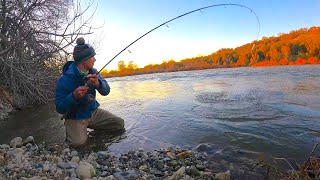 BREAKING a Skunk with a Hail Mary BIG STEELHEAD