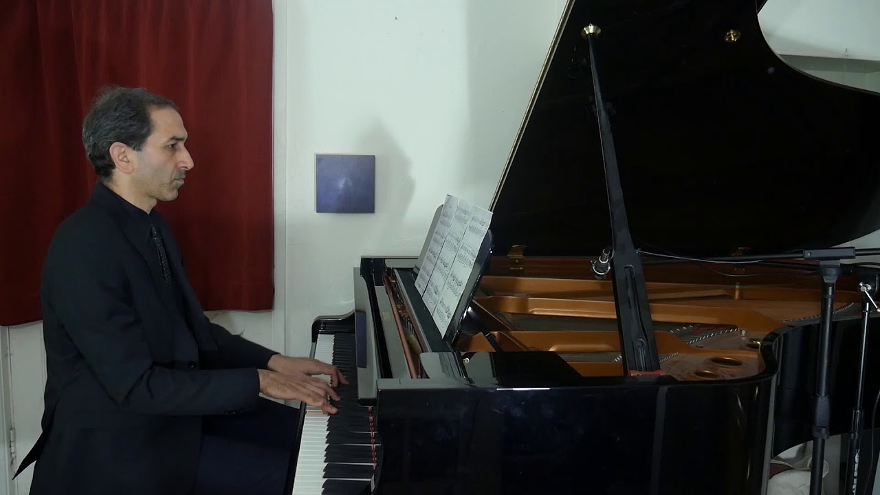 Promotional video thumbnail 3 for Dan Zemelman - Pianist & DJ