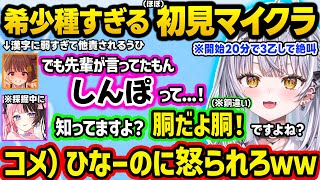 ひなーのの胴だよ胴＆うひのしんぽネタをぶっ込んだり、学生時代のぼっちエピやはなびの好きな所を語るサイネちゃんの初見ミリしらマイクラが面白すぎたｗｗ【ぶいすぽ/切り抜き/銀城サイネ/Minecraft】