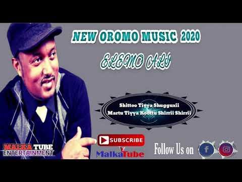 Elemo Ali |Lyrics| |Caalii Yaadaan Bulee| New Oromo Music 2020