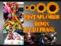 Pintaflores remix dj franz ondamix non stop