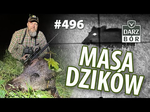 Darz Bór odc. 496 „Jak nie upolować lochy. IGO na drzewie. 18 urodziny Kolba.pl i Extremeweekend.pl”