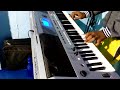 Ninnu Nenu Viduvanaya Keyboard Cover Song