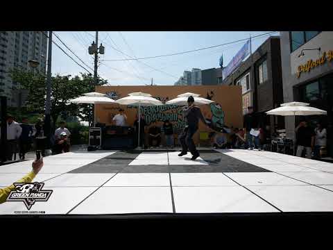 STRIPES｜Judge｜HDBJ x GREEN PANDA