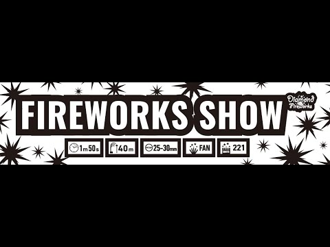 14221 FIREWORKS SHOW