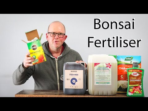 Bonsai fertiliser - My new regime