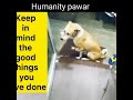 Humanity Pawar Vs Humanity Videos Reelsindia Sad Humanity Whatsapp Status Video Status Man