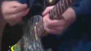 Attack Flamingo Performs