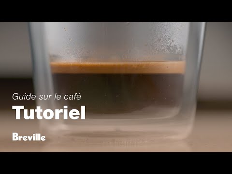 miniature vidéo